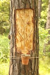 Nova urejena pot v Krajinskem parku Rački ribniki-Požeg 9